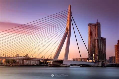 Erasmus Bridge, Netherlands