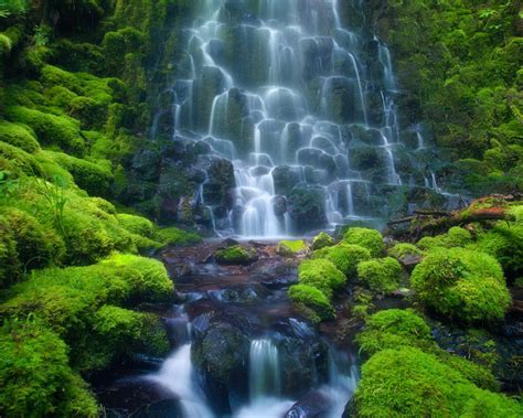 Cascade Waterfall Sensoria Rain Forest Costa Rica Mexico Rocks Green