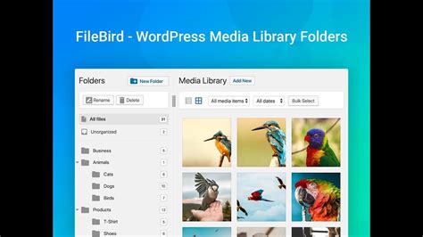 Filebird Wordpress Media Library Folders By Ninjateam Youtube