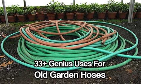 33 Genius Uses For Old Garden Hoses Garden Hoses
