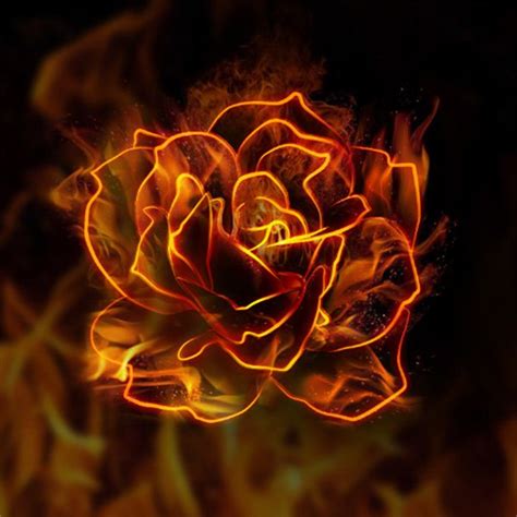 Tattoo timelapse with (real time). 10 Steps To Create A Flaming Rose In Photoshop | Fire art ...