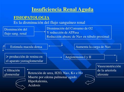 ppt insuficiencia renal aguda powerpoint presentation free download id 824066