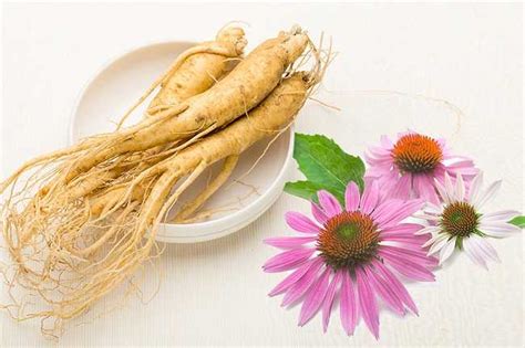 Beberapa cara untuk menjaga daya tahan tubuh adalah dengan mengonsumsi makanan dan minuman yang bergizi. Tips Menjaga Daya Tahan Tubuh Agar Tidak Mudah Sakit - Medic Quotes