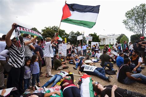 Separate Rallies Supporting Palestinians Immigration Reform Draw Thousands In Dc The