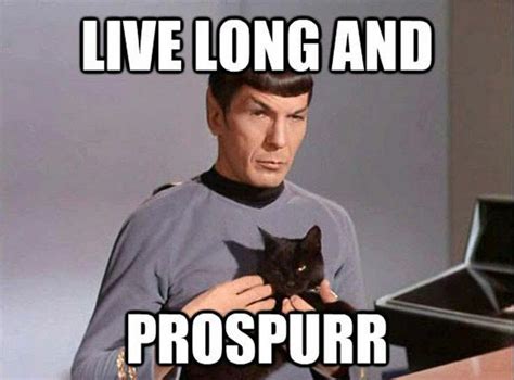 Pin By Richard Taylor On Sayings And Quotes Star Trek Funny Star Trek
