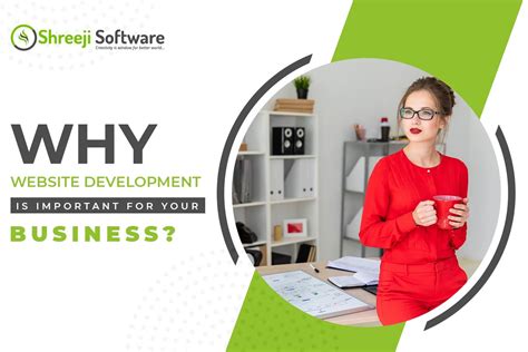Website Development Company In Ahmedabad Shreeji Software