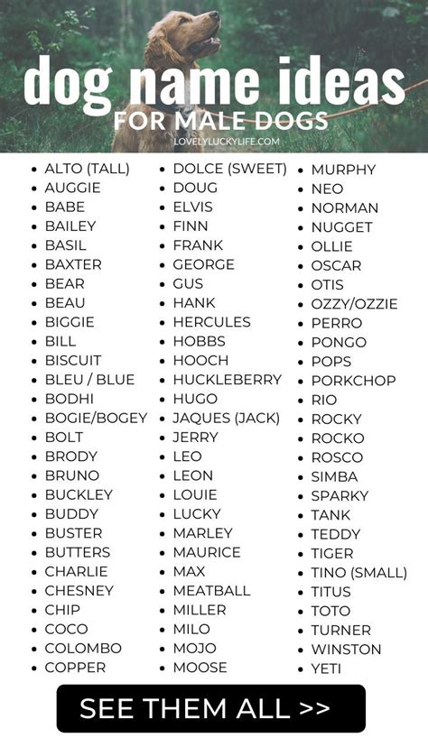 Boy Names With Meaning For Dogs Cool Guy Names