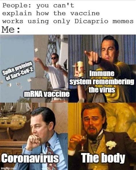 Explain The Vaccine Using Leonardo Dicaprio Memes Meme Subido Por