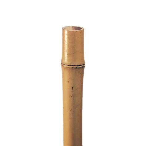 Bamboo Poles Home Depot 3 4 Inch Is Bamboo Poles Home Depot 3 4 Inch