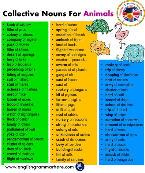 Pin On Collective Nouns