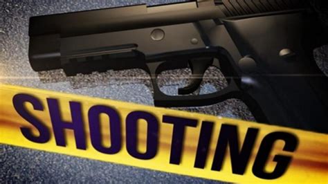 Son Shoots Father During Argument Guyana Times