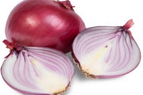 Onion Allium Cepa Its Health Benefits And Medicinal Uses