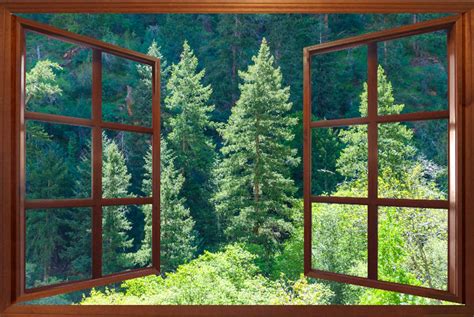Wall Mural Window Self Adhesive Forest Window View 3 Sizes Etsy