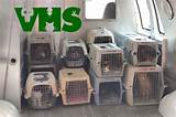Pictures of Evansville Humane Society Spay Neuter Clinic