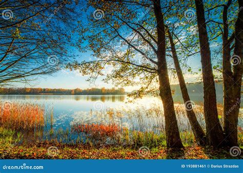 Autumn Scenic Lake Landscape Sunrise Stock Image Image Of Green
