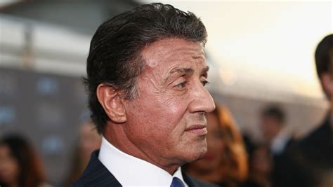 Prosecutors Review Stallone Sexual Assault Allegation