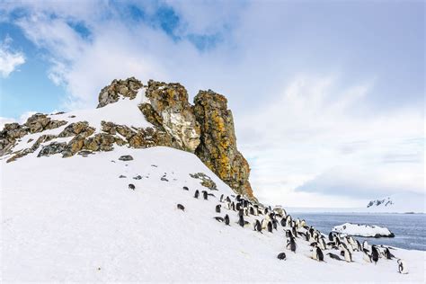 South Shetland Islands Antarctic Peninsula Region Go Next