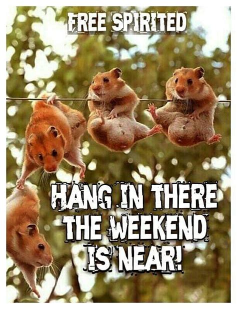 Free Spirited Hang In There The Weeken Is Near Lol Thursday Quotes