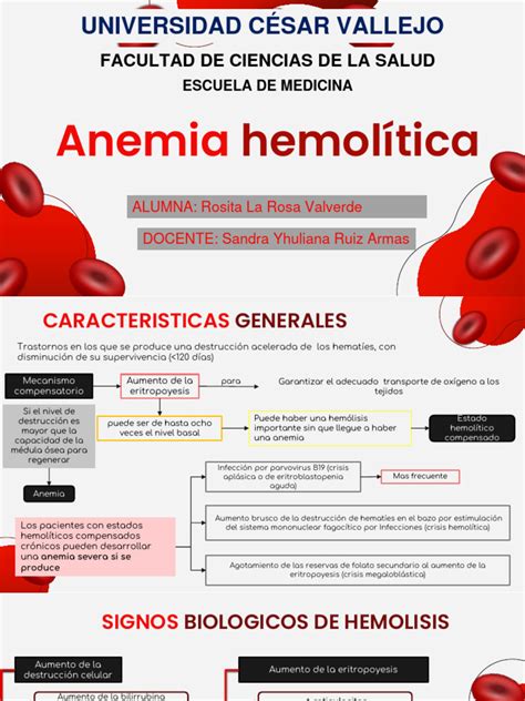 Anemia Hemolitica Pdf Tejido Biología Anatomia Animal