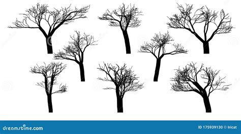 Black Silhouettes Of Naked Vector Trees Set Isolated On A White My