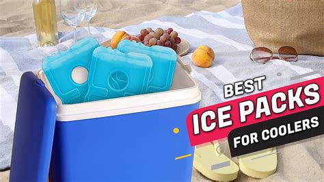 5 Best Ice Packs For Coolers For Lunch Box Injuries Camping And More