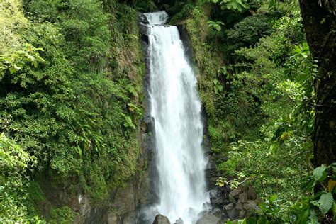 trafalgar falls how to explore the waterfalls of dominica current by seabourn