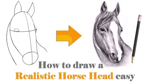How To Draw A Realistic Horse Head Easy Step By Step Drawing Horse
