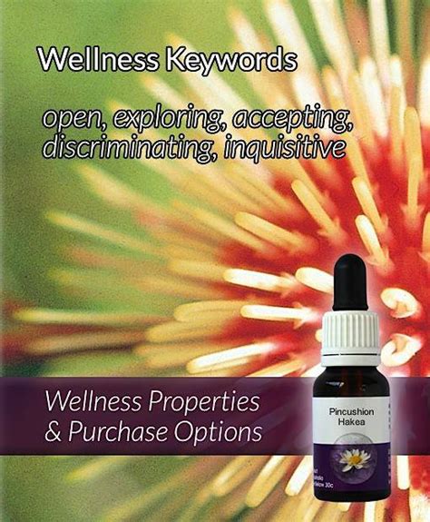 Pincushion Hakea Australian Flower Essences And Massage Creams Living Essences
