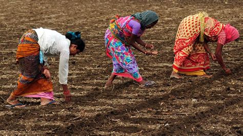 Farmers And Labourers Over A Privileged Few India Is Finally Going The Right Way