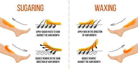 It takes about three to four weeks for your hair to start growing back (this. Sugar Wax vs. Traditional Waxing - Bare Beauty by Brooke