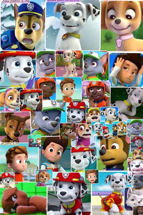 The Many Faces Of Paw Patrol By Pawpatrolchase On Deviantart