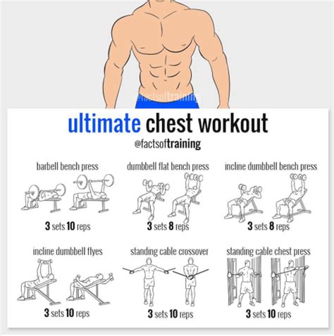 Ultimate Chest Workout By Facts Of Training Ultimate Chest Workout