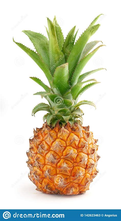 Fresh Whole Pineapple Stock Image Image Of Isolated 142623463