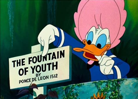Tales of such a fountain have been recounted across the world for thousands of years, appearing in writings by herodotus (5th century bc), the alexander romance (3rd century ad), and. Fountain of Youth | Disney Wiki | FANDOM powered by Wikia