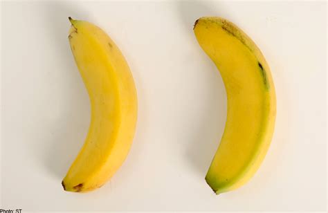 Did You Know That The Bananas You Buy Today May Have Been Genetically