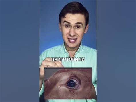 Если ты вегетарианец за сколько ты похудеешь А ты ешь мясо? #веган #вегетарианец #вегетарианство #мясоед # А ты ешь мясо? #веган #вегетарианец #вегетарианство #мясоед # Если ты вегетарианец за сколько ты похудеешь