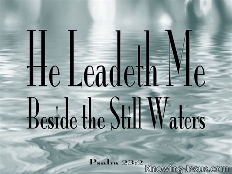 Psalm 232 He Leadeth Me Beside Still Waters Gray