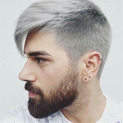 Pin By Zj Liew On Colour Grey Hair Dye Silver Hair Men Men Hair Color