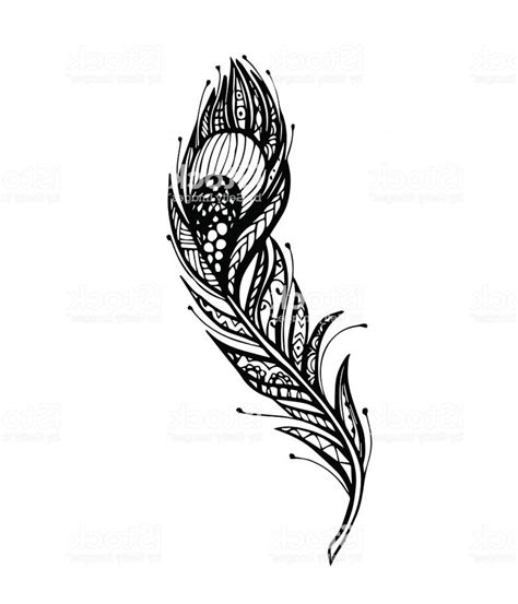 Curved Feather Drawing At Explore Collection Of