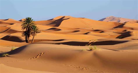 Is The Sahara Desert Dangerous Exploring Its Mysteries And Realities
