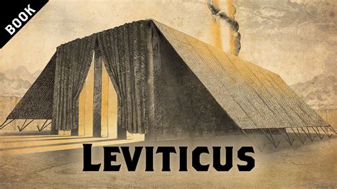 The Book Of Leviticus Overview Bible Overview Scripture Study Bible