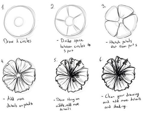 Draw A Flower Musely