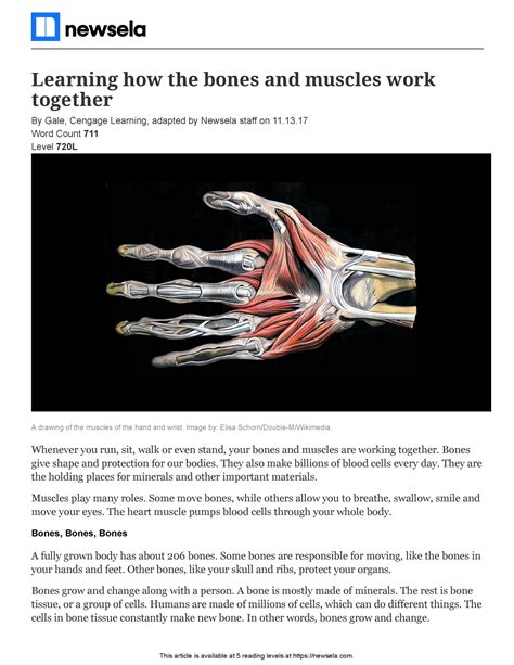 Learning How The Bones And Muscles Work Together This Article Is