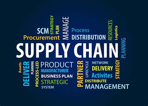 Career Path In Supply Chain Career Counselling