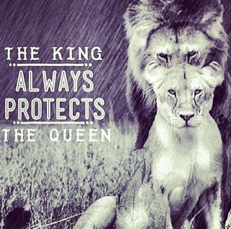 Lion Protecting His Lioness Quotes