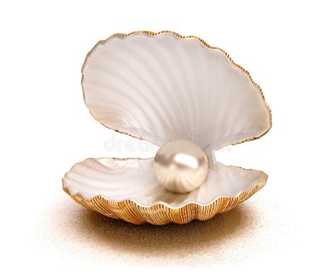 Sea Shell With Pearl Stock Image Image Of Luxury Beach 41486751