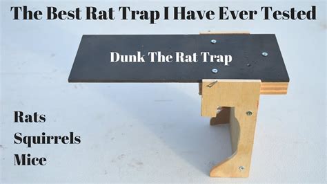 The All Time Best Rat Trap I Have Ever Tested Dunk The Rat Trap In