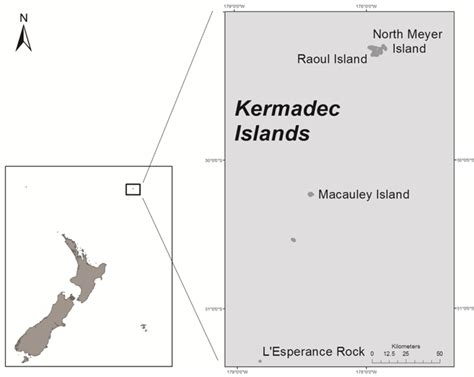 Description location and general description the kermadec islands are an uninhabited group of 13 small islands formed by active and recently extinct volcanoes along the boundary of the australian. Map of Rangitāhua/Kermadec Islands. | Download Scientific Diagram