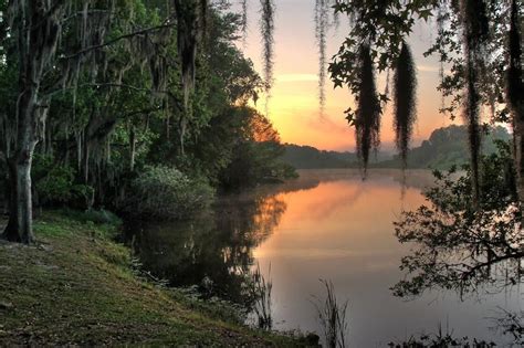 Lake Alice At Sunrise Gainesville Florida With Images
