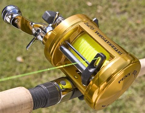 Best Spinning Reels Under Reviews And Top Picks Fishing Reels Fishing Tips